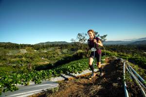 BIB: 
                            <button type="button" onclick="openModal(19113446)" class="btn btn-primary btn-sm float-right btn-popup" data-toggle="modal" data-target=".modal-high-quality">
                        <i class="fas fa-shopping-cart"></i> Add to Cart
                    </button>
                                            <button type="button" onclick="isThisMe(19113446, true)" class="btn btn-success btn-sm float-right btn-popup btn-isme hidden" data-toggle="tooltip" data-placement="bottom" title="นี่คือรูปของคุณใช่ไหม คลิกที่นี่เพื่อเอาเข้าอัลบั้ม">
                        <i class="fas fa-plus"></i> Add to album
                    </button>
                    <button type="button" onclick="isThisMe(19113446, false)" class="btn btn-warning btn-sm float-right btn-popup btn-isnotme hidden">
                        <i class="fas fa-ban"></i> Remove from album
                    </button>